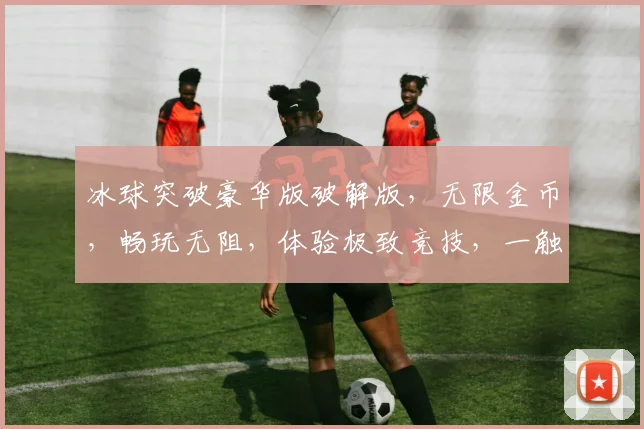 冰球突破豪华版破解版，无限金币，畅玩无阻，体验极致竞技，一触即达