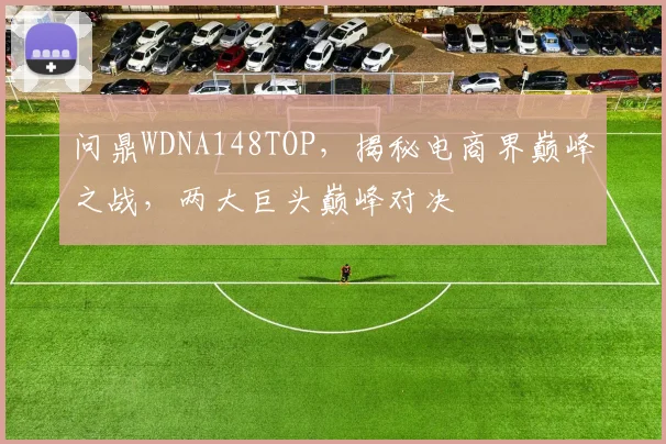 问鼎WDNA148TOP，揭秘电商界巅峰之战，两大巨头巅峰对决