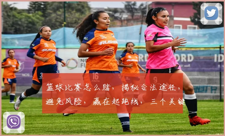 篮球比赛怎么赌，揭秘合法途径，避免风险，赢在起跑线，三个关键点，必看
